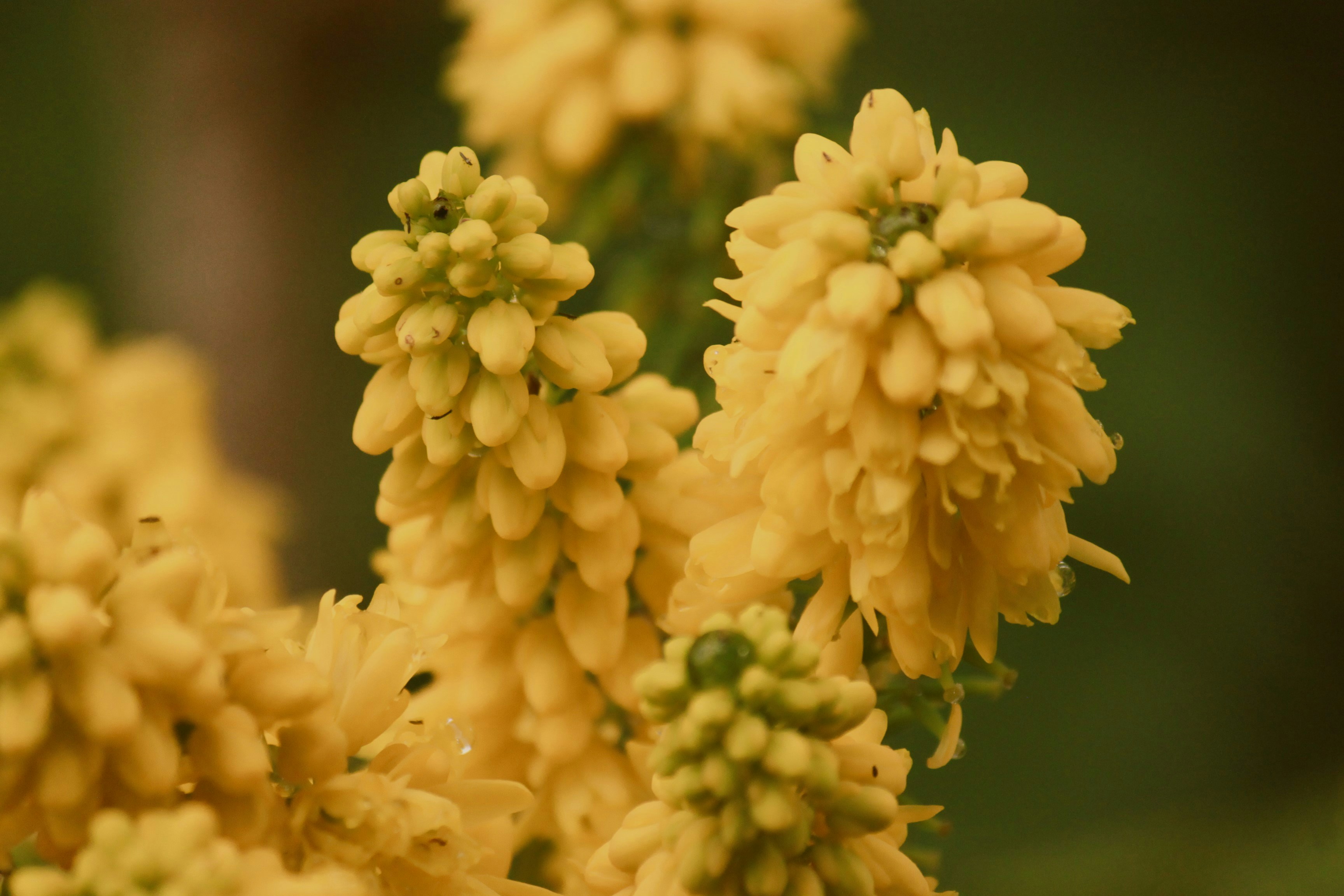 Photo by chayse_larsen