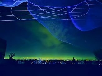 A dark night sky illuminated by city lights on the horizon. Overhead, a large, glowing blue net-like structure with intricate patterns stretches across the sky. Silhouettes of plants and foliage are visible in the foreground, with a distant figure standing amidst them.
