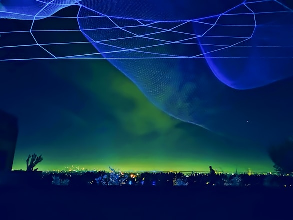 A dark night sky illuminated by city lights on the horizon. Overhead, a large, glowing blue net-like structure with intricate patterns stretches across the sky. Silhouettes of plants and foliage are visible in the foreground, with a distant figure standing amidst them.