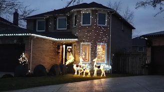Professional installers carefully hanging bright LED lights on a suburban home.