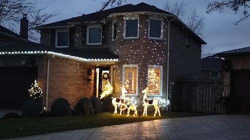 A competitor's house beautifully decorated with lights.