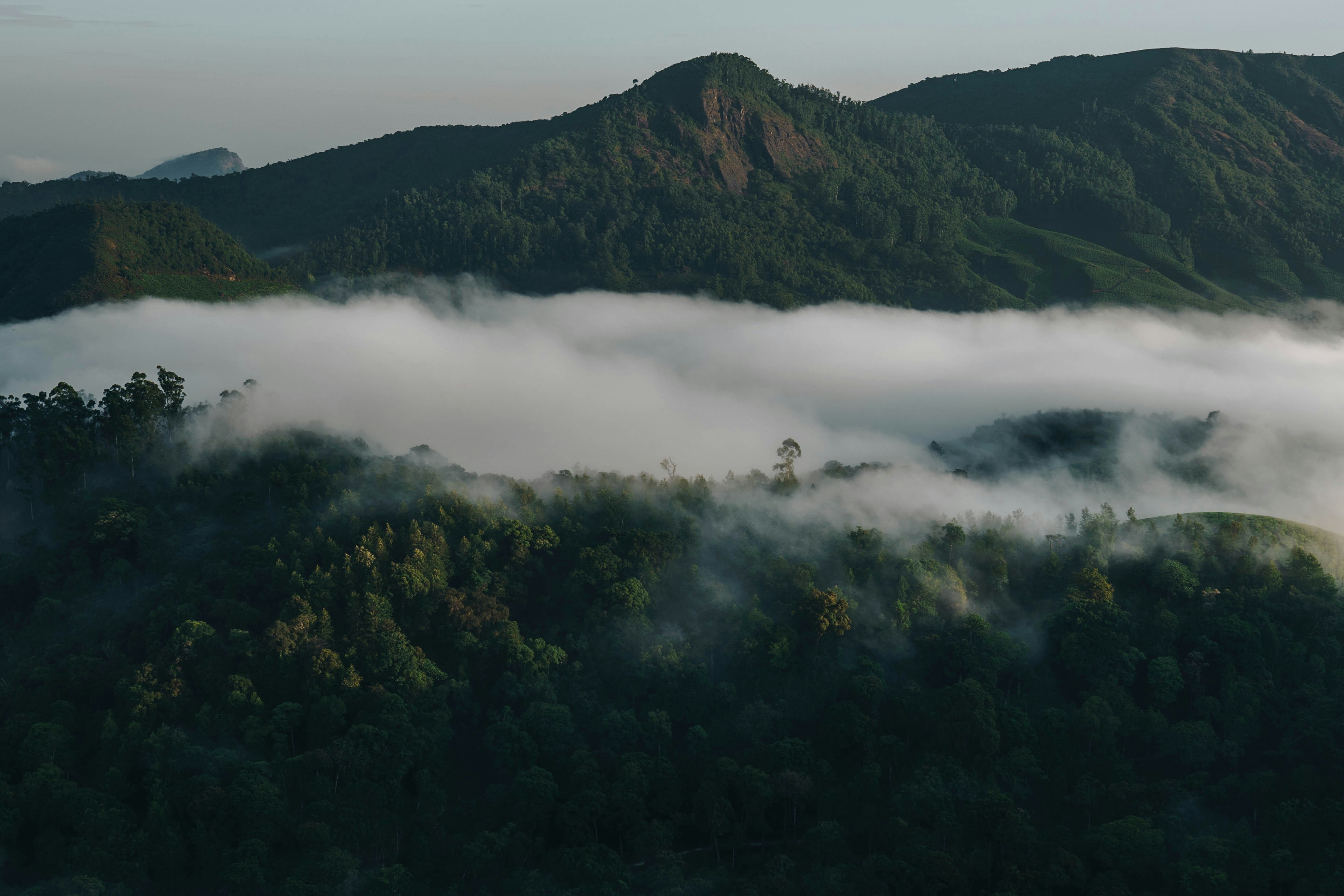 Photo by darkroomlabs