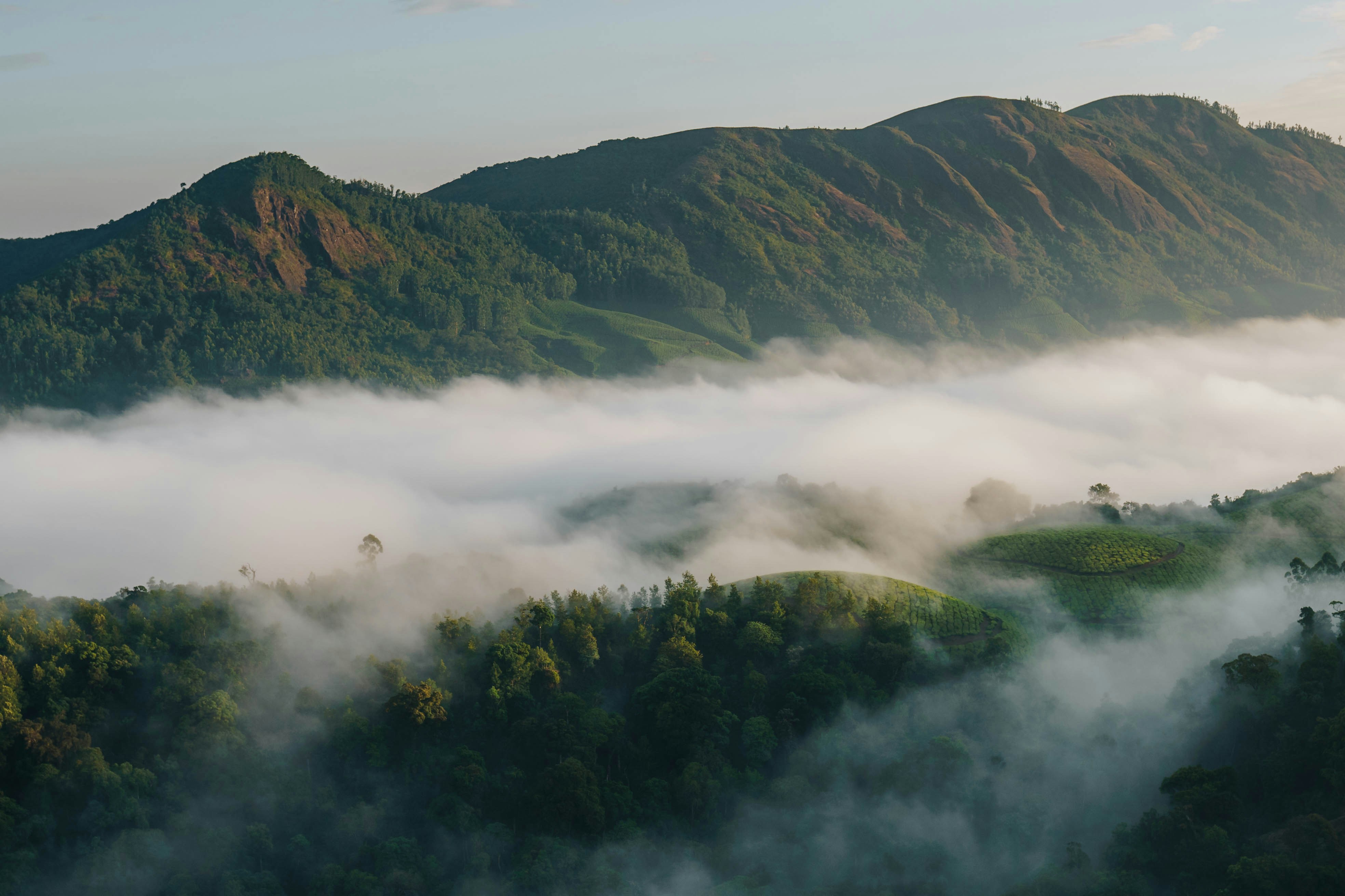 Photo by darkroomlabs