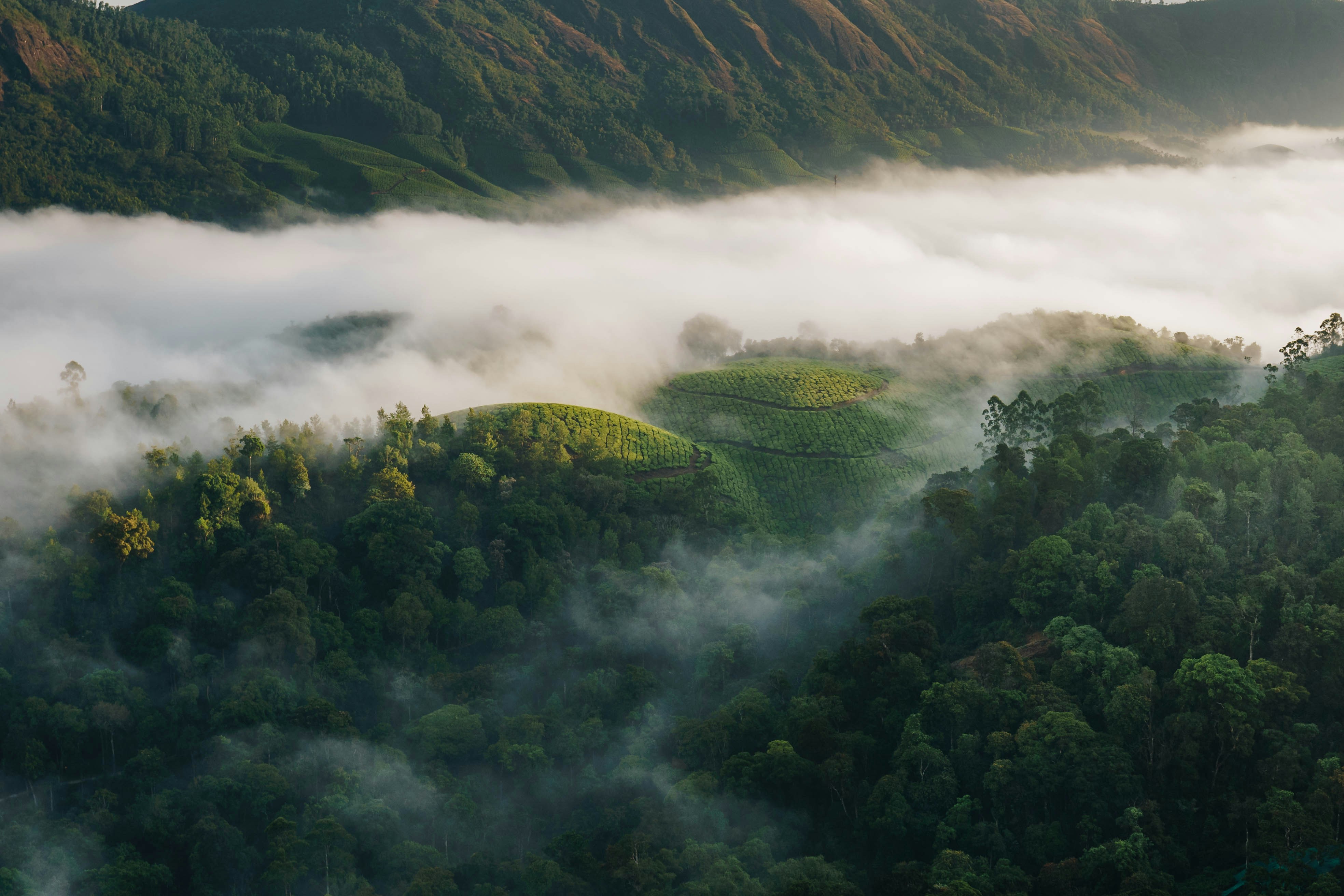 Photo by darkroomlabs