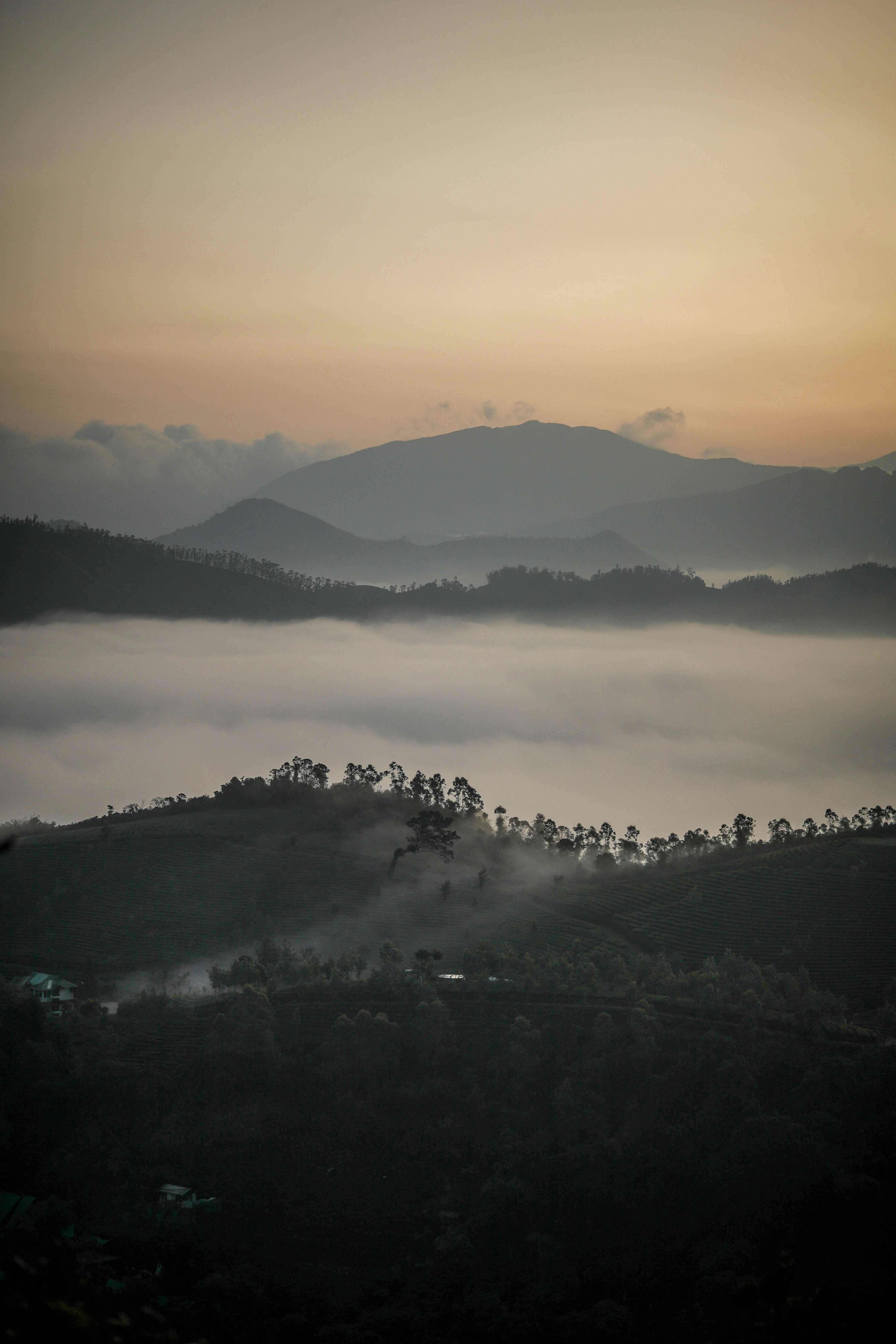 Photo by darkroomlabs