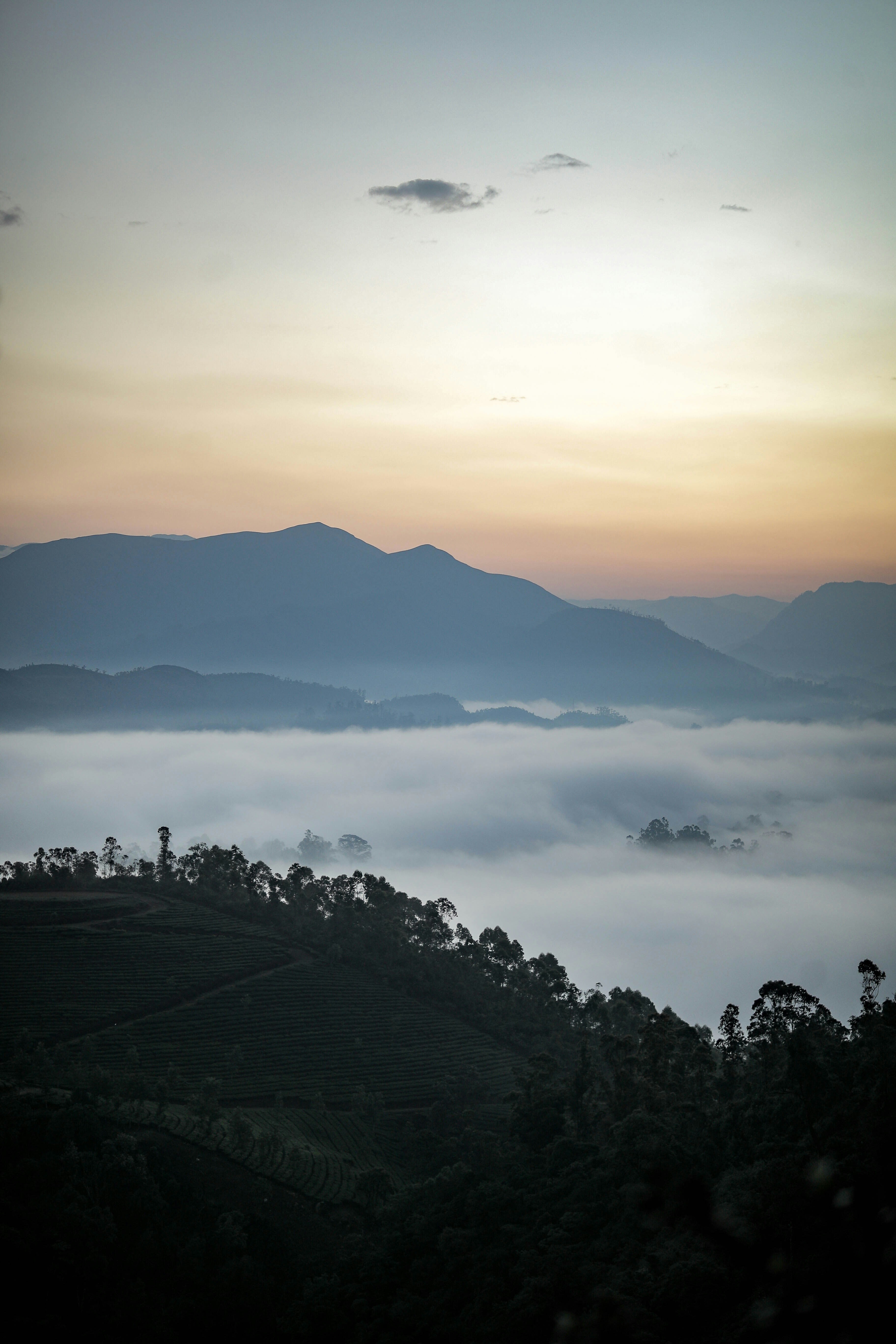 Photo by darkroomlabs