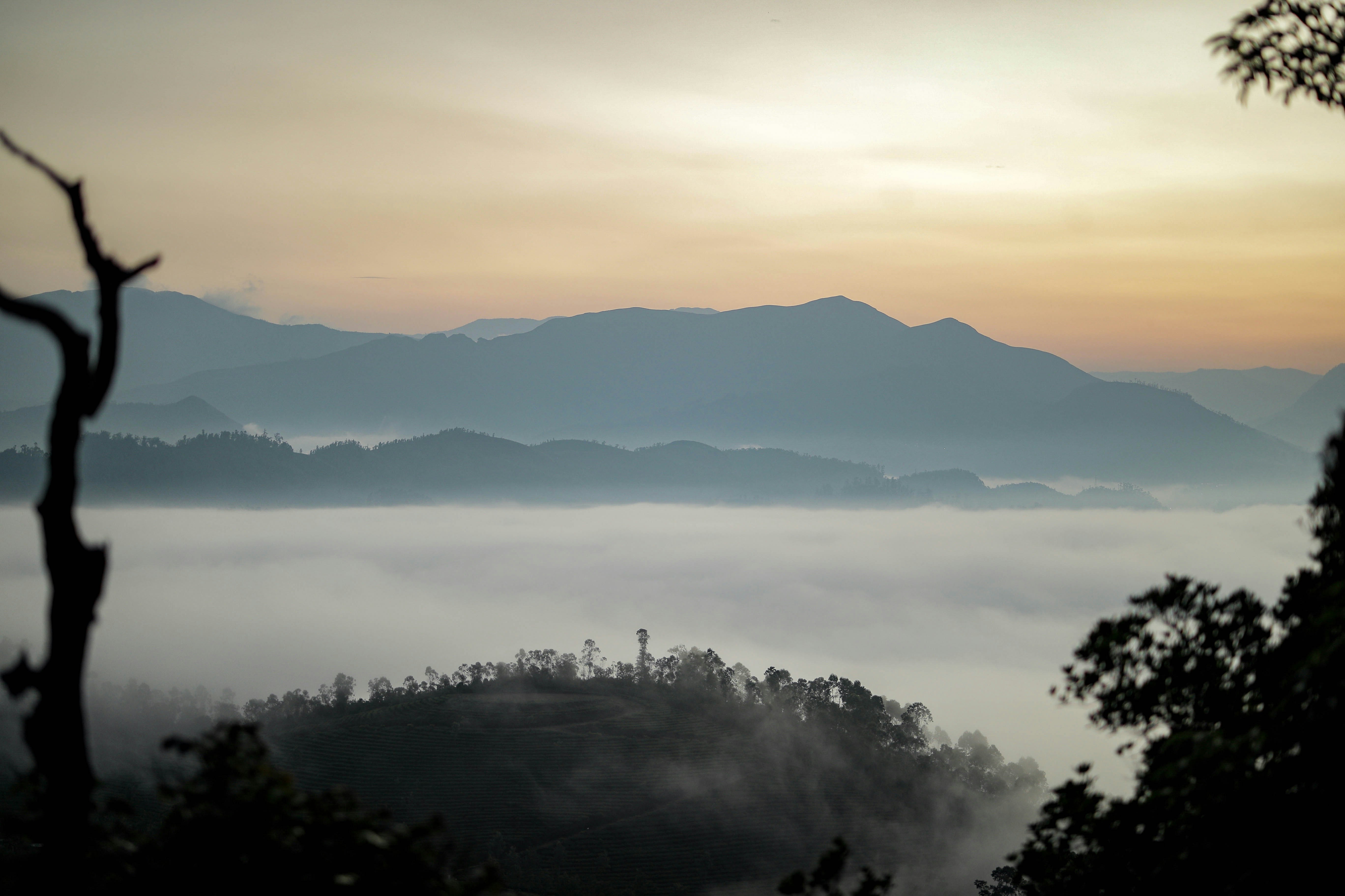 Photo by darkroomlabs