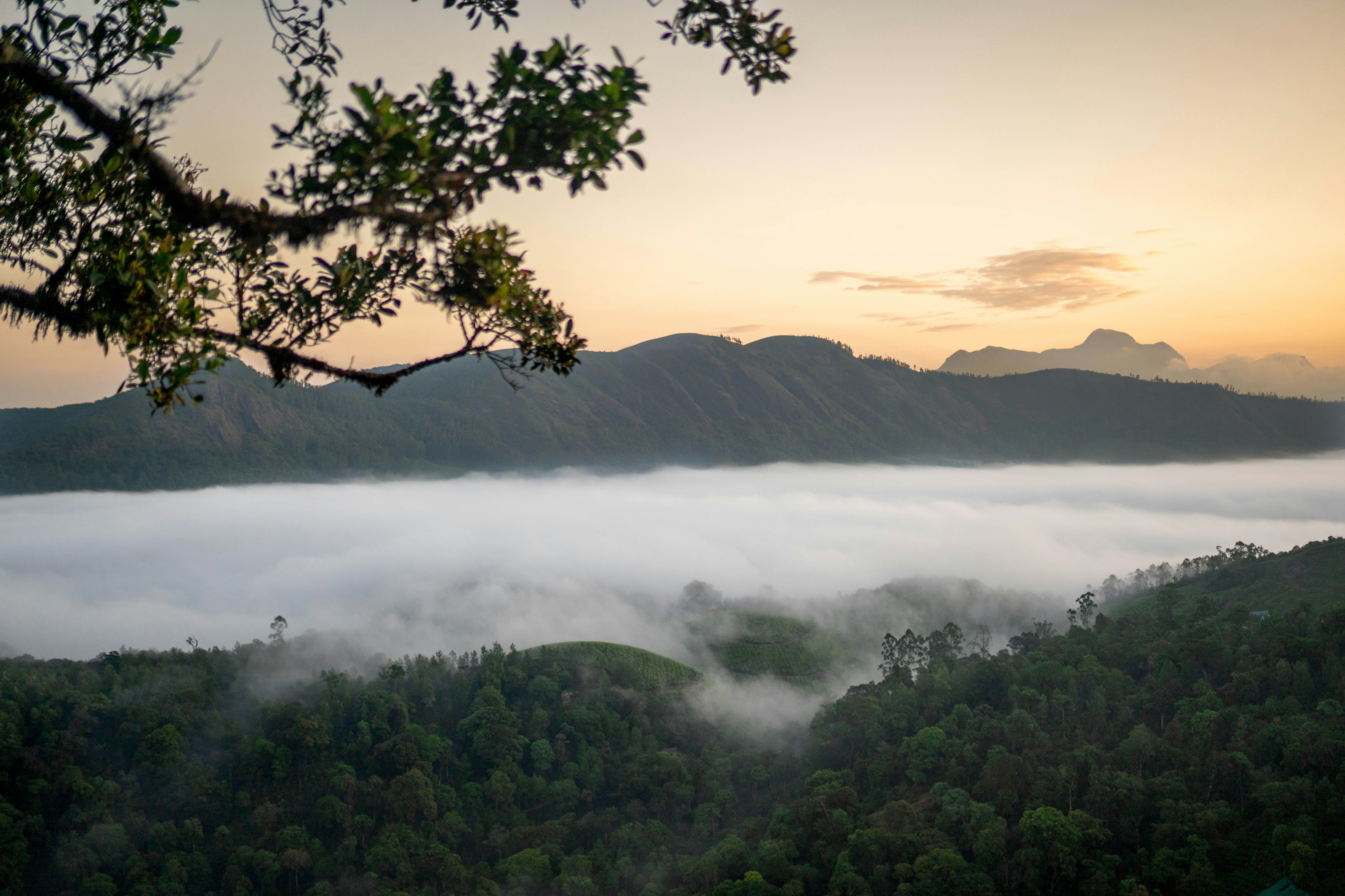 Photo by darkroomlabs