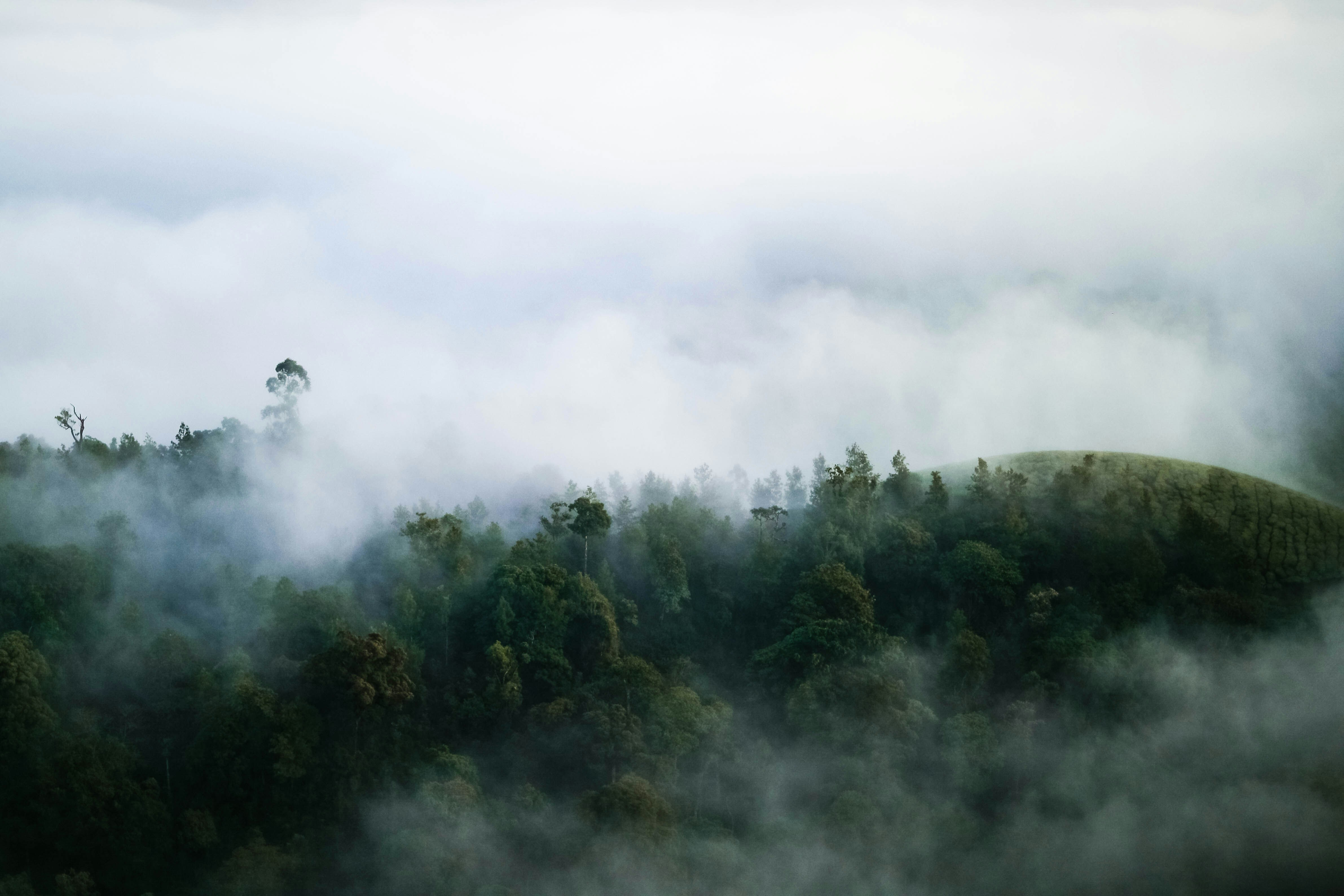 Photo by darkroomlabs