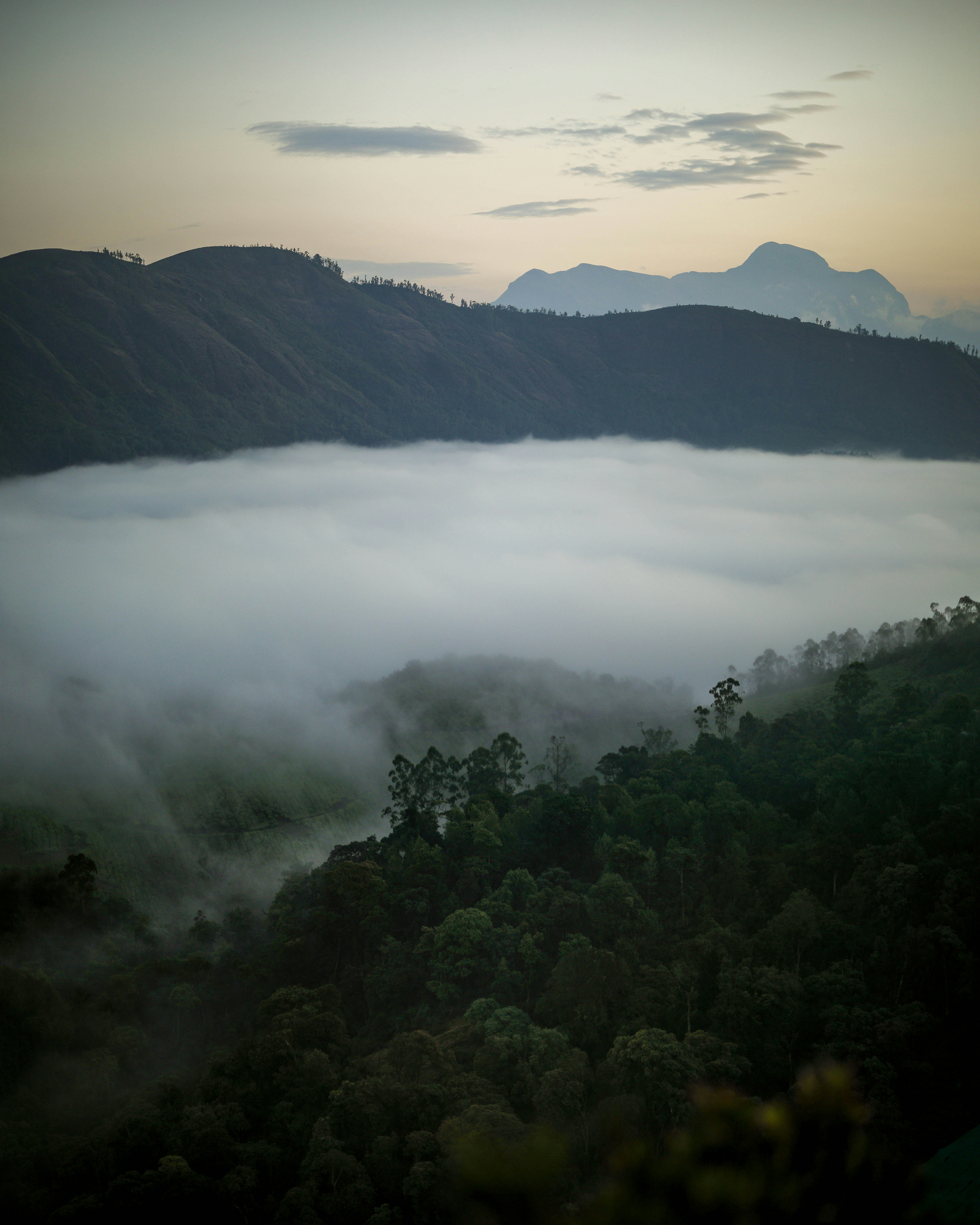 Photo by darkroomlabs