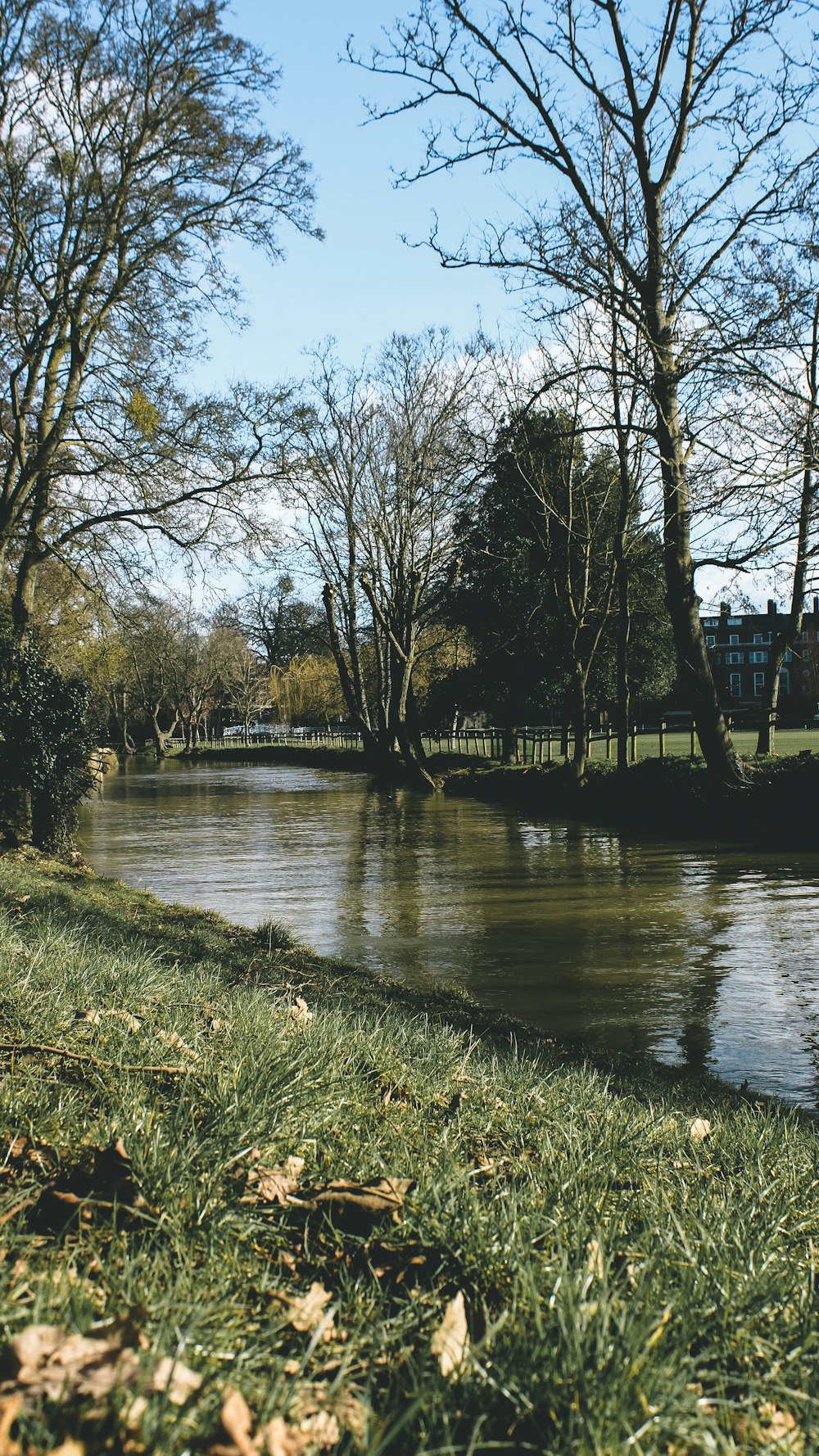 a body of water surrounded by trees and grass