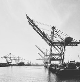 Large industrial cranes are positioned along a port, extending over the water. The setting appears to be a busy dock with several cranes and shipping containers visible. The scene conveys an industrial and functional atmosphere, with clear skies and calm waters.