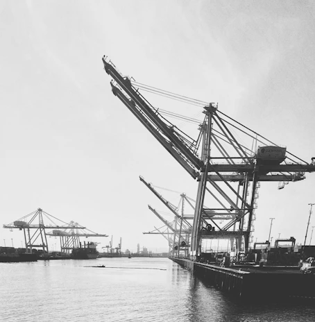 Cranes lifting cargo in an industrial harbor setting.