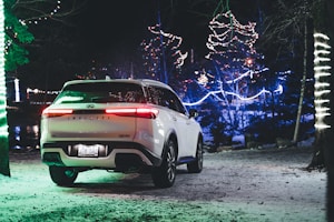 Holiday Light Tickets