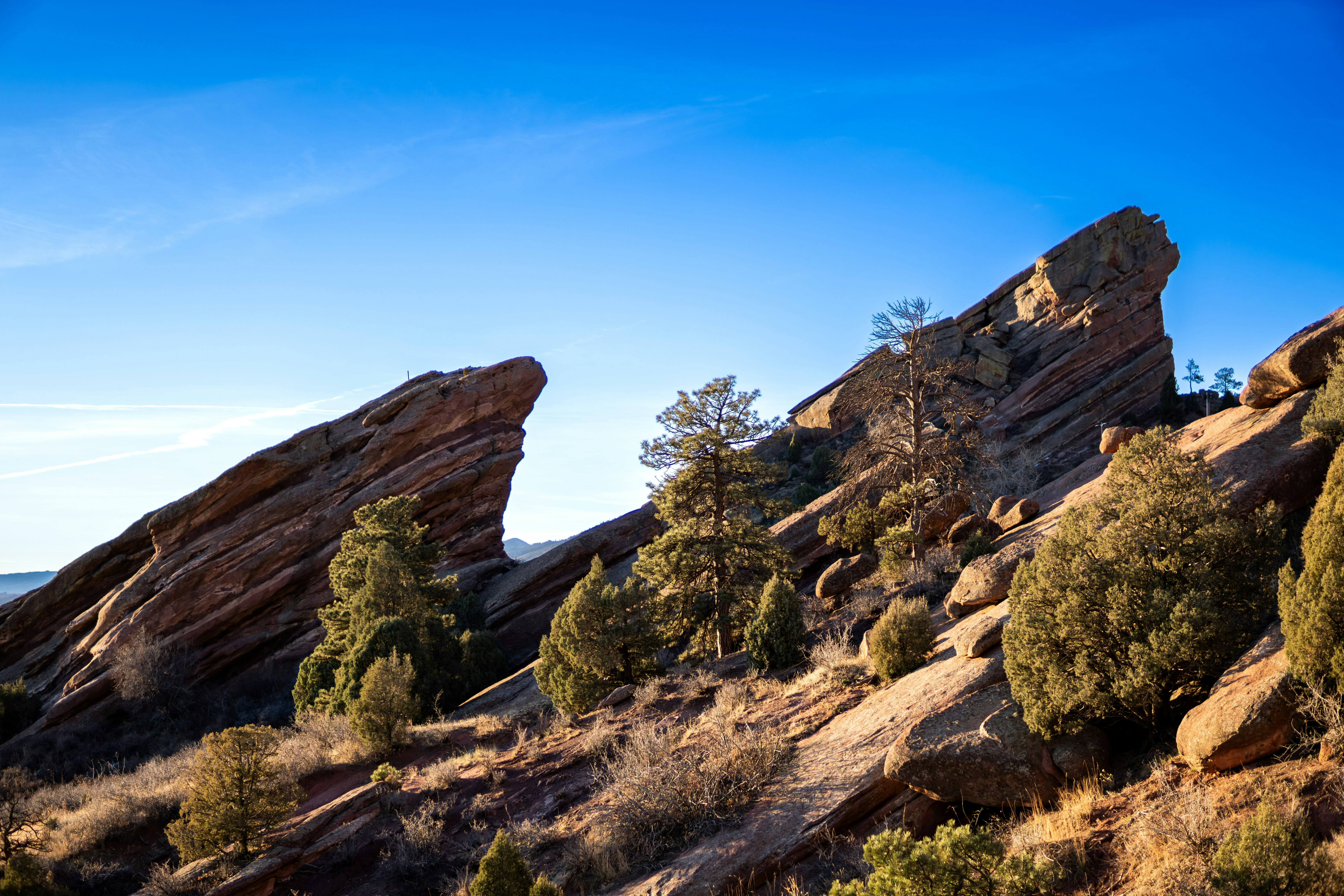 Photo by padraigoflannery