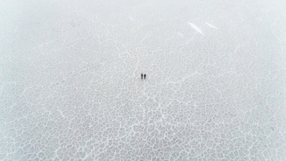 two people are standing in the middle of a field