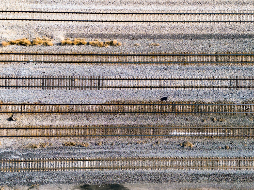a bird is sitting on a rail road track