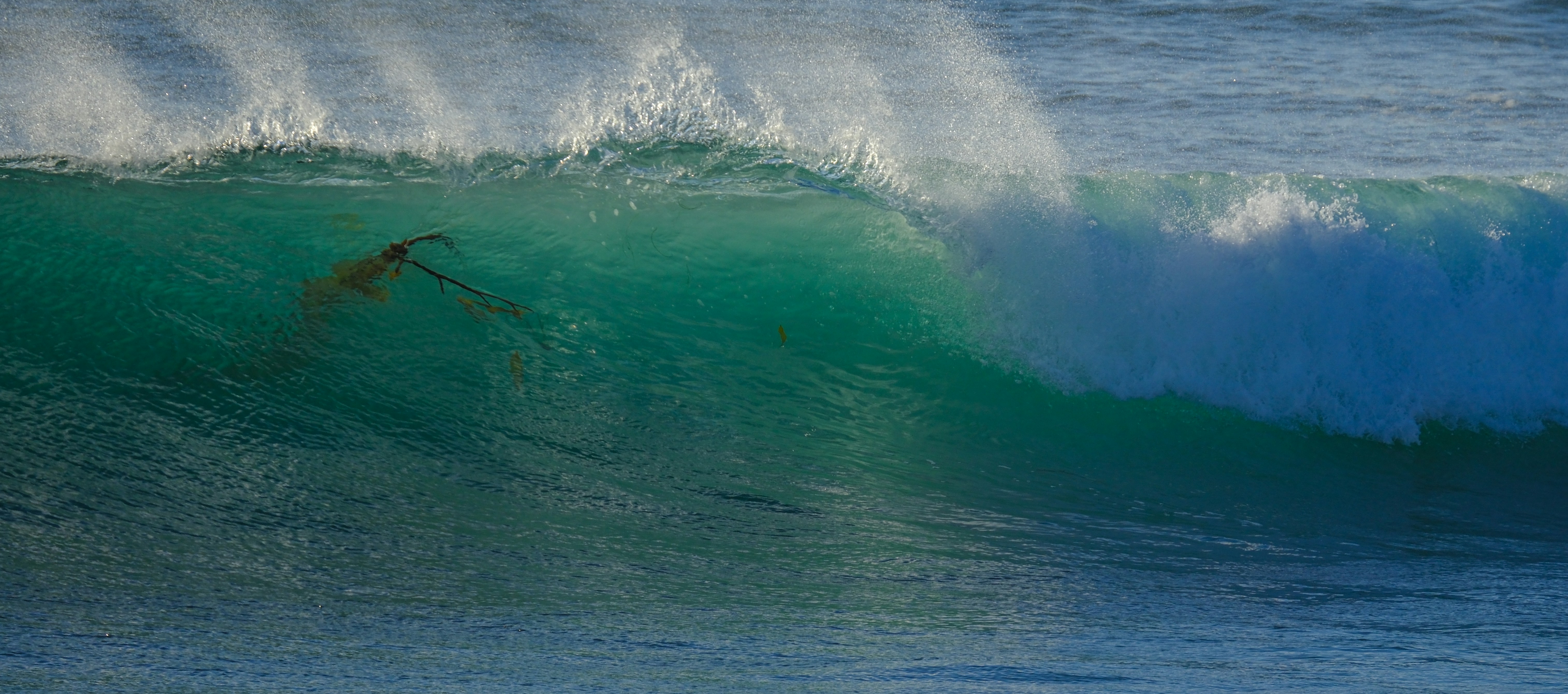 Photo by cestmoisheedy