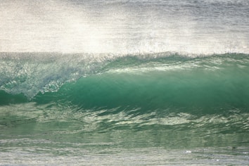 A clear, curling ocean wave with a translucent crest illuminated by sunlight. The water appears vibrant green and the surface is smooth, with subtle reflections of light. There is a sense of motion and energy in the scene.