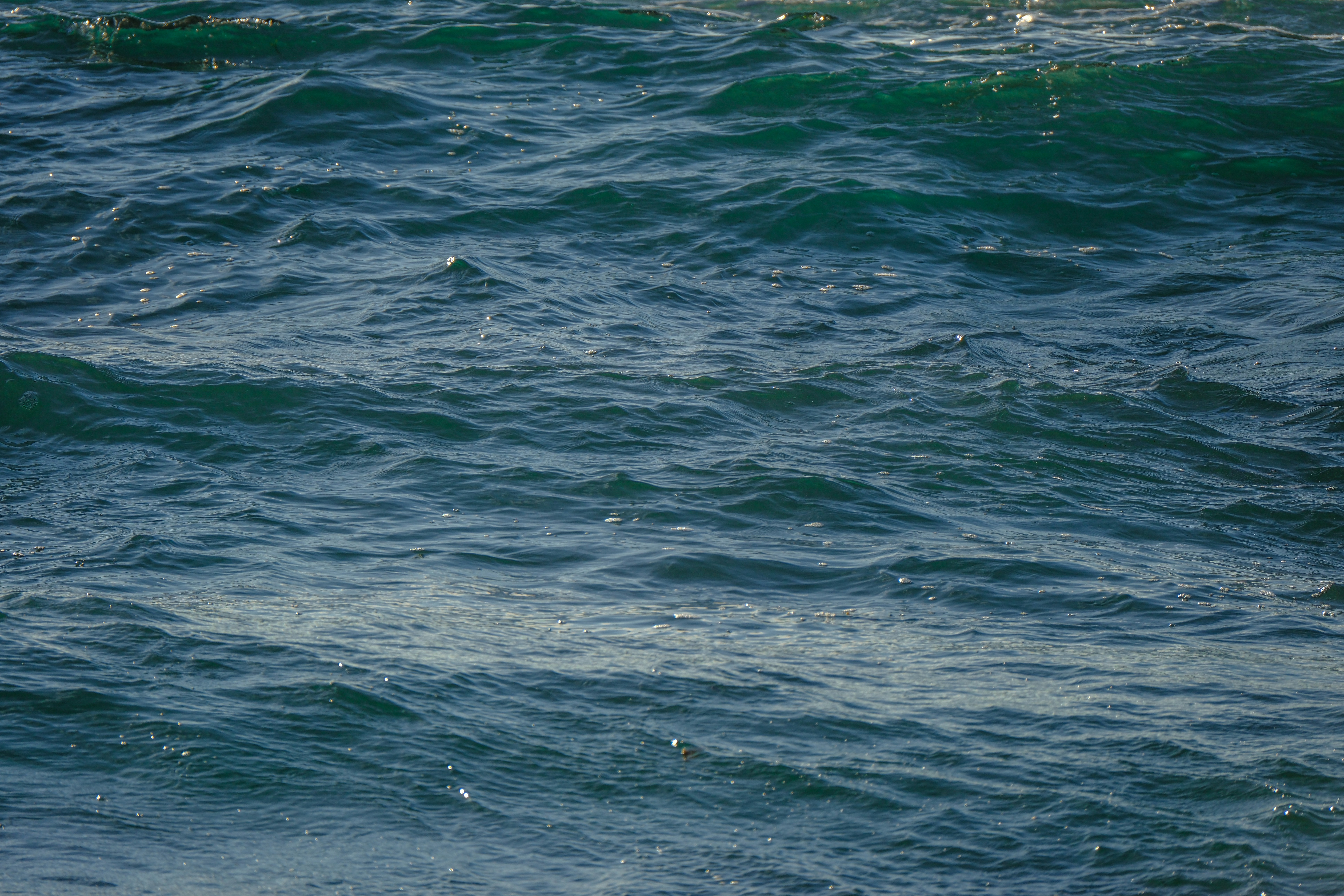 Photo by cestmoisheedy