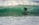A surfer skillfully navigates a translucent green wave, crouched low on his board as spray shimmers in the sunlight. The waves roll in the background, creating a dynamic scene full of movement and energy.