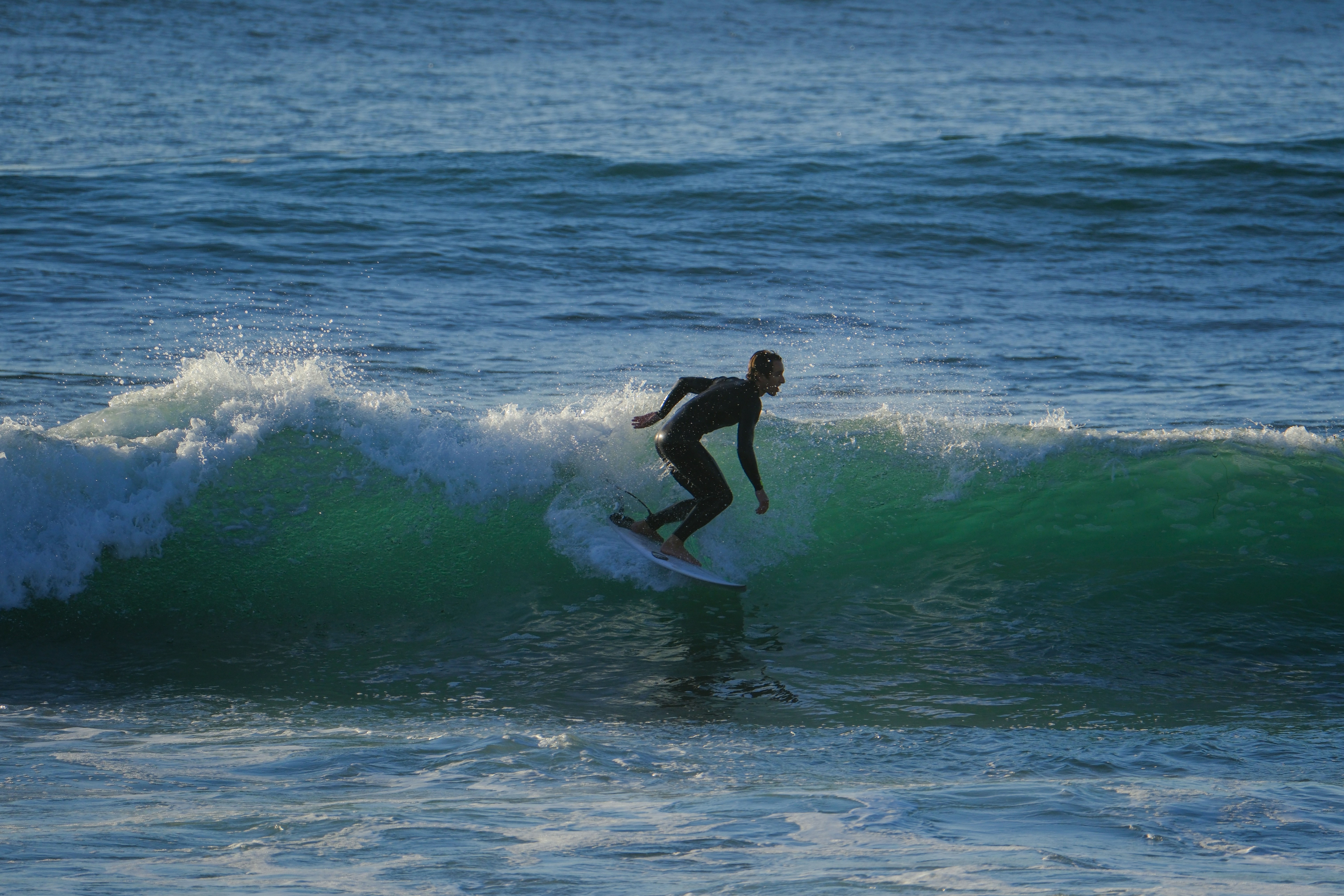 Ocean Explorer Wetsuit