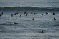Several surfers are paddling on their boards, waiting in the ocean. The water is calm with gentle waves, and the sky is clear.
