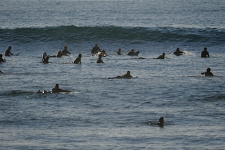 Several surfers are paddling on their boards, waiting in the ocean. The water is calm with gentle waves, and the sky is clear.