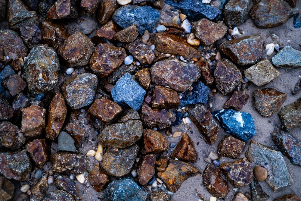 a bunch of rocks that are on the ground