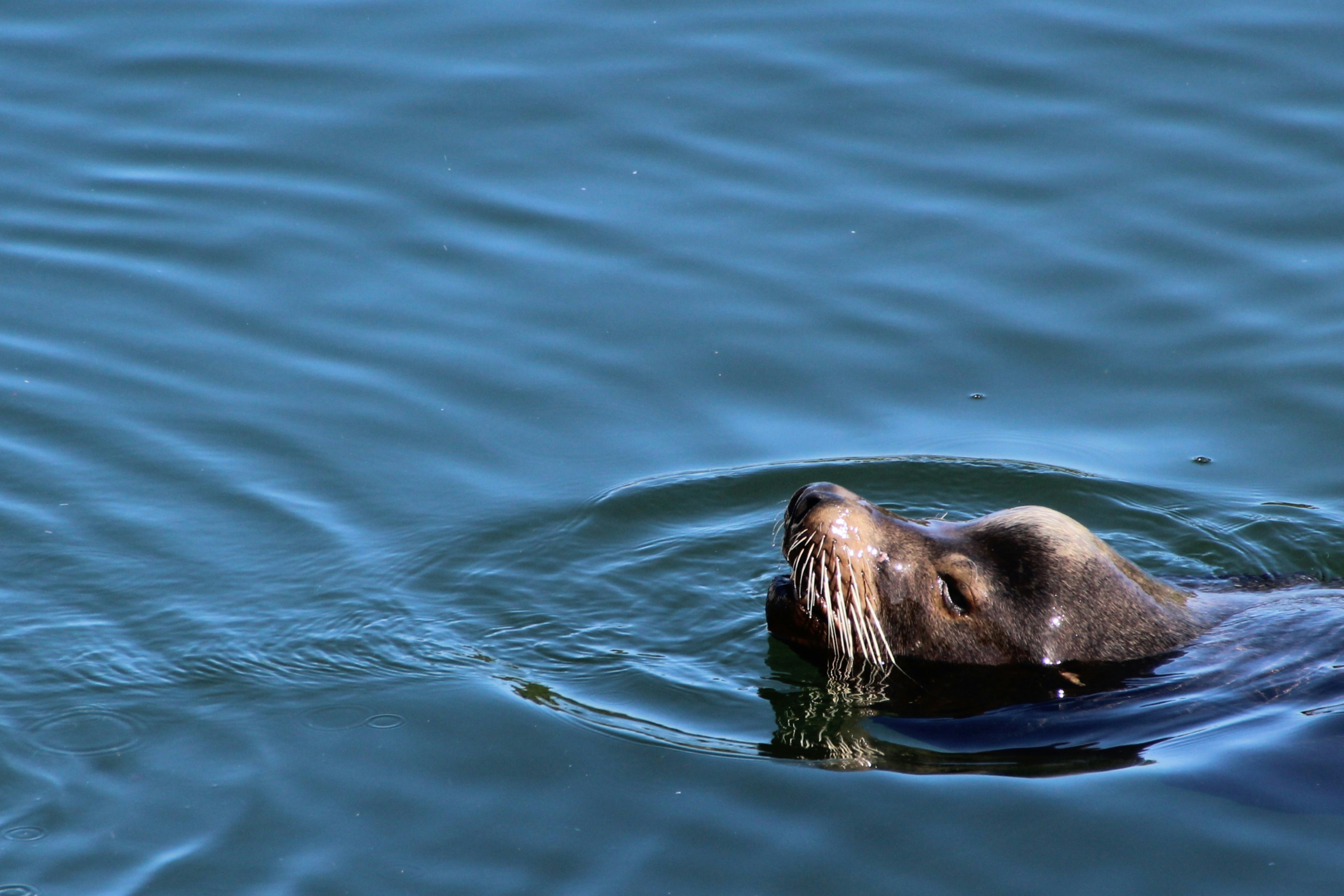 Photo by keriliemcdowall