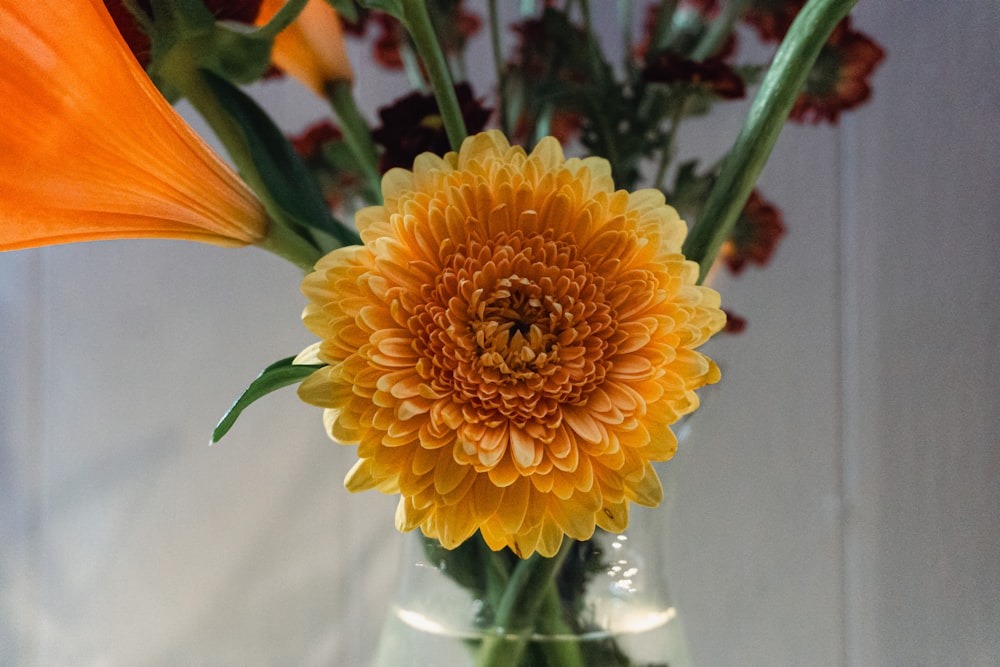 a vase filled with orange and yellow flowers