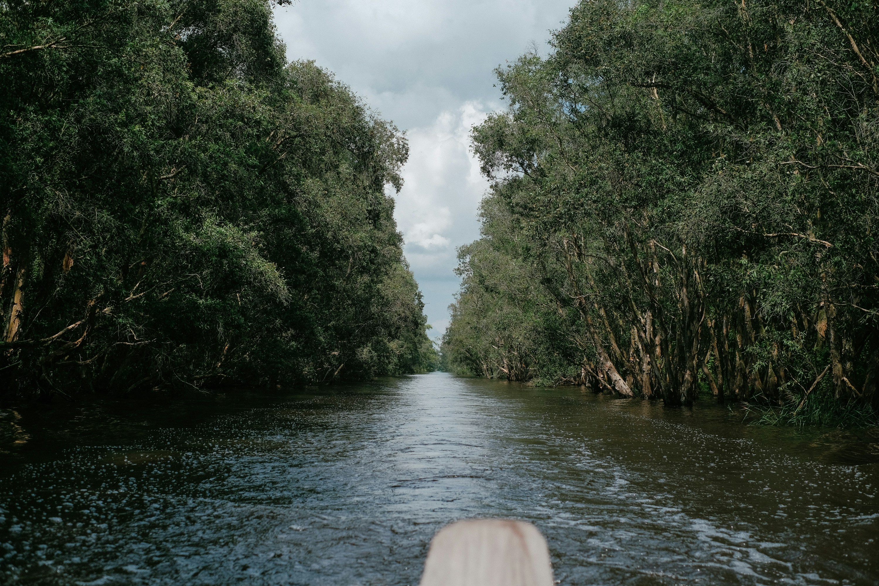 Photo by nguyentrungnguyen