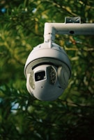 A security camera is mounted on a pole, surrounded by green foliage. The camera appears spherical with a gray-white finish and is designed for outdoor surveillance.