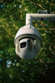 A security camera is mounted on a pole, surrounded by green foliage. The camera appears spherical with a gray-white finish and is designed for outdoor surveillance.