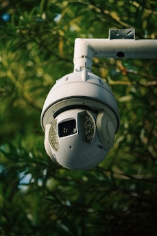 Modern wireless security camera mounted discreetly on a home wall surrounded by greenery.