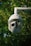 A security camera is mounted on a pole, surrounded by green foliage. The camera appears spherical with a gray-white finish and is designed for outdoor surveillance.