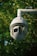 A security camera is mounted on a pole, surrounded by green foliage. The camera appears spherical with a gray-white finish and is designed for outdoor surveillance.