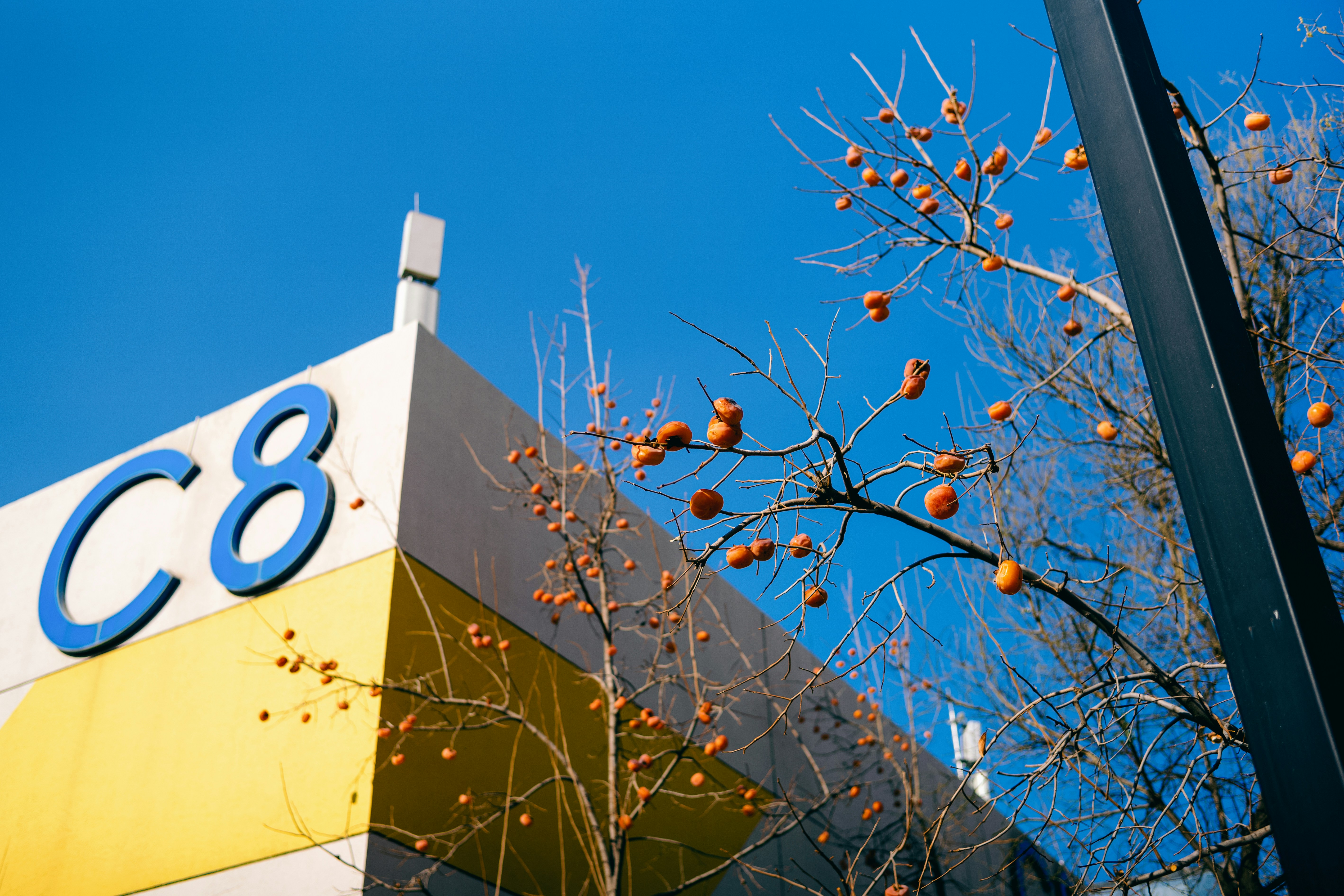 Mejores 50 empresas para servicios de n8n en Redondela