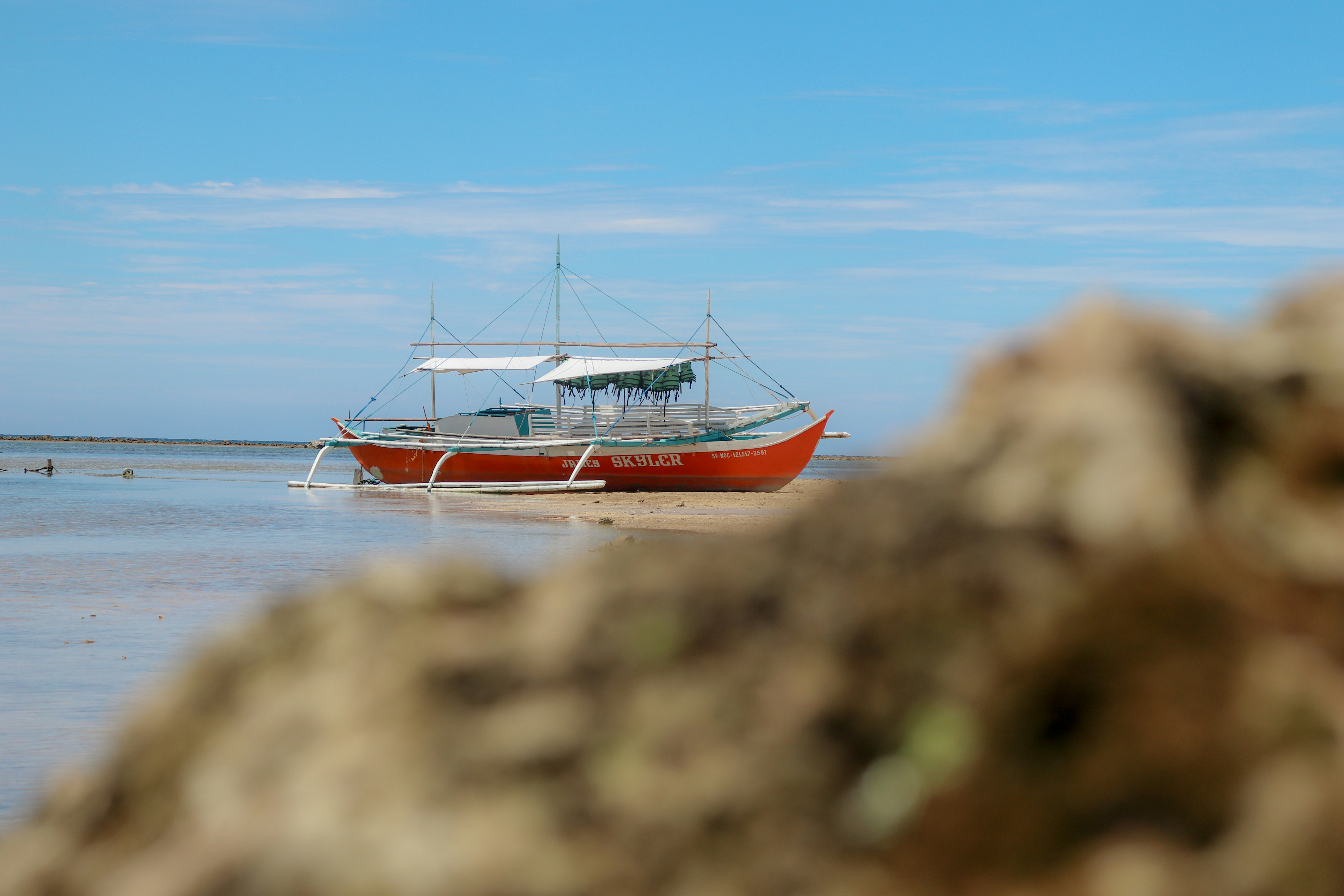 Photo by bellecoleen