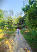 A father holding his child’s hand while walking through a sunlit park.