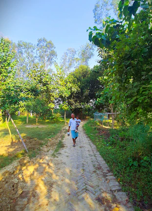 A father holding his child’s hand while walking through a sunlit park.