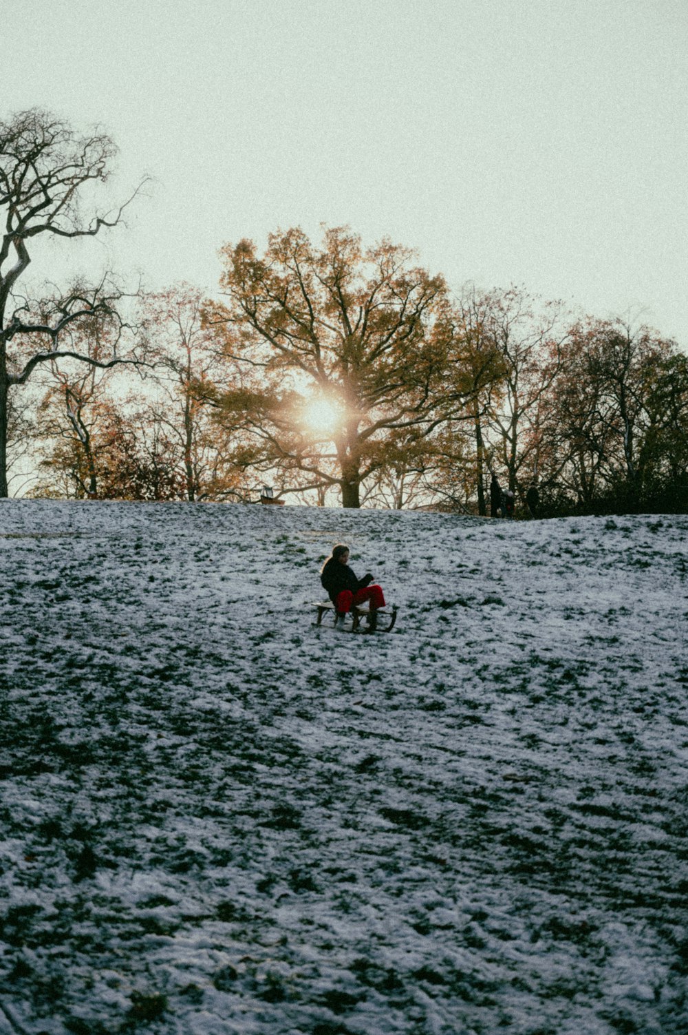 a person sitting on a snowy hill with trees in the background