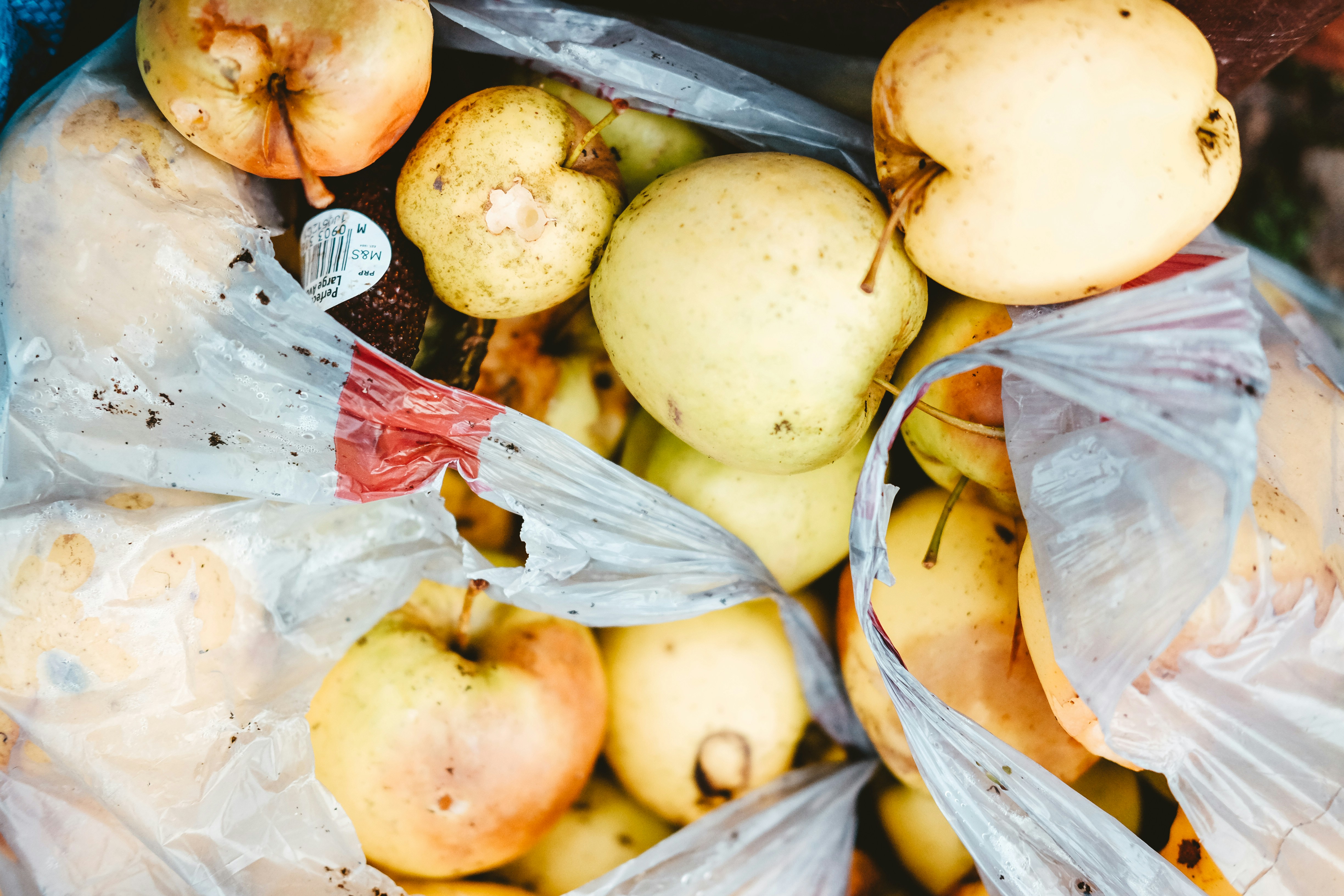 Fresh Organic Fruits in Jars