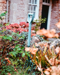 a garden with flowers and a blue gardening fork