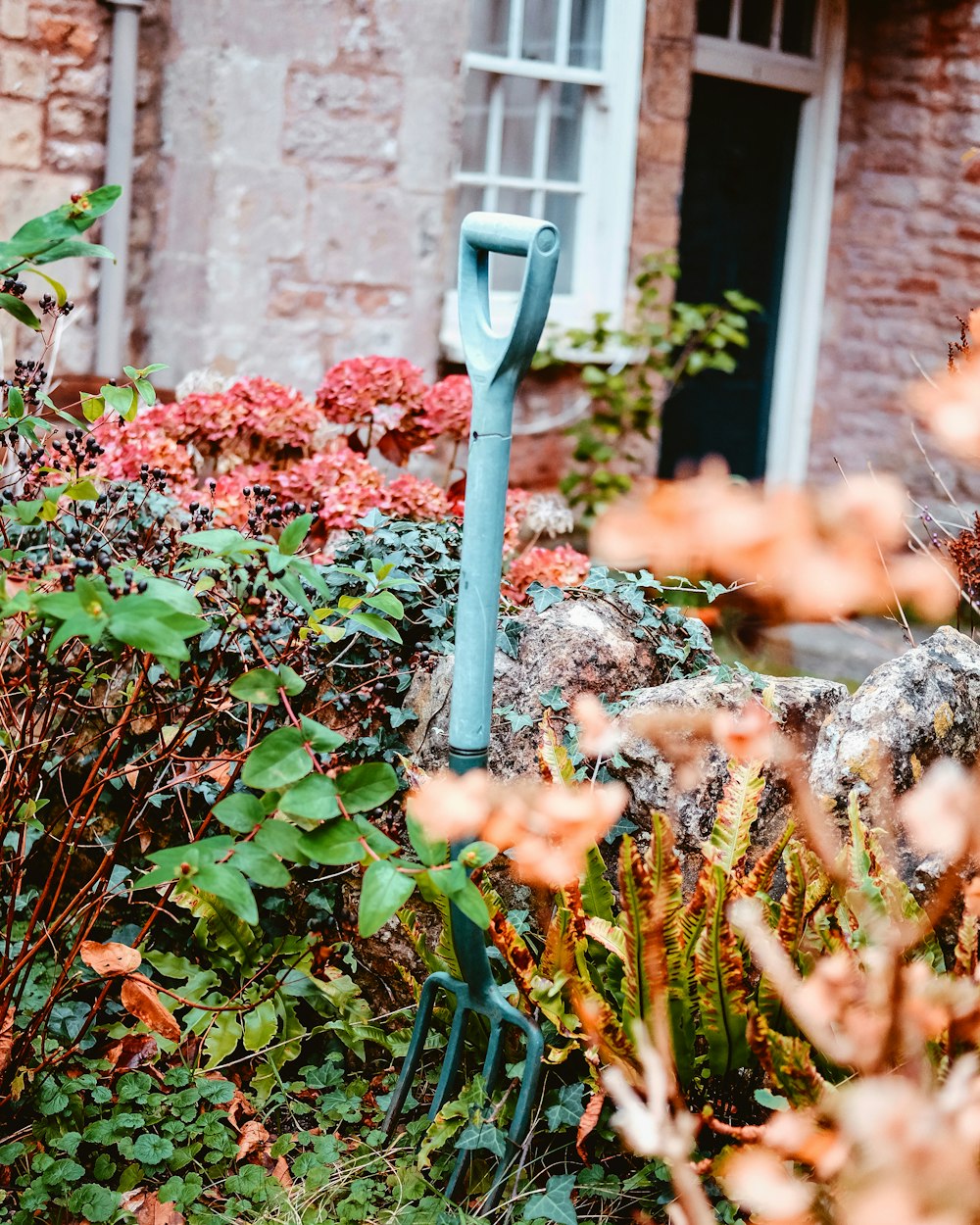 a garden with flowers and a blue pole