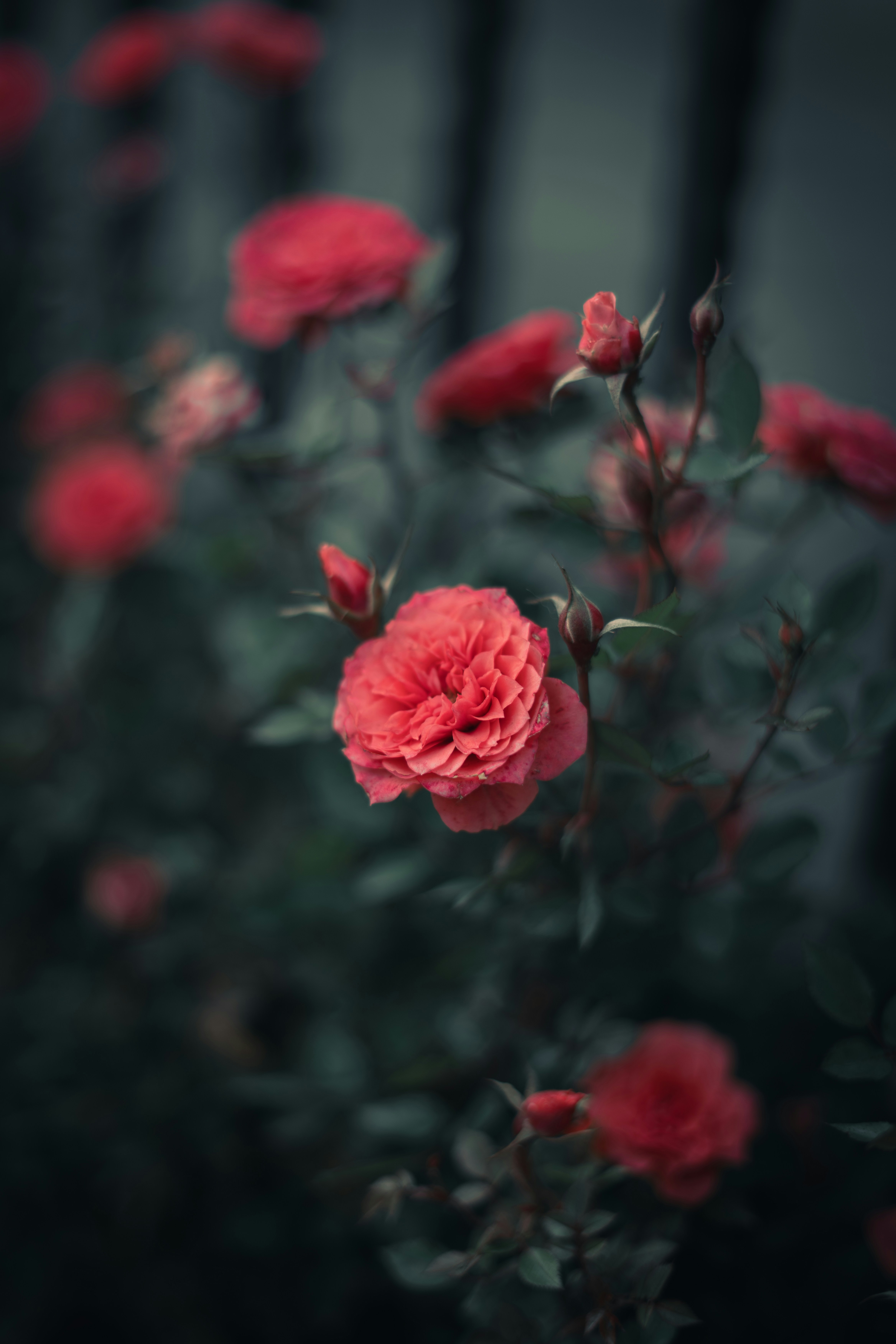 Photo by imthesoli