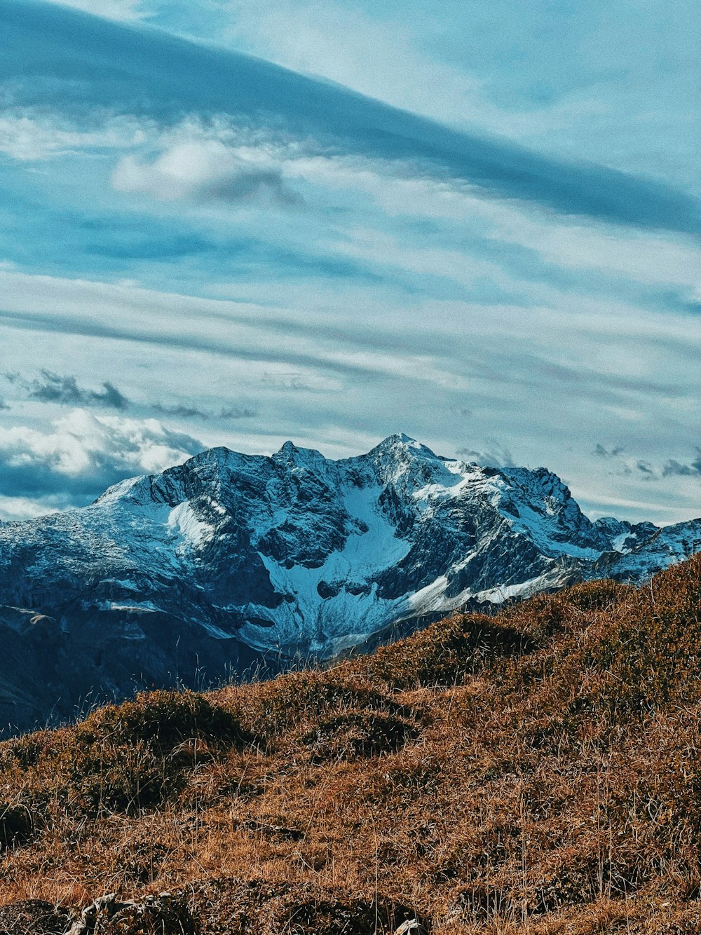 a mountain goat standing on top of a grass covered hillside