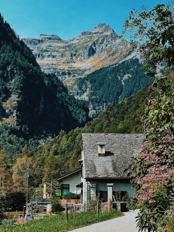A charming rustic house with a stone roof is nestled amidst lush green hills. Behind it, towering mountain peaks rise under a clear blue sky. Vibrant foliage surrounds the area with colorful flowers on the right and dense forests on the hills.