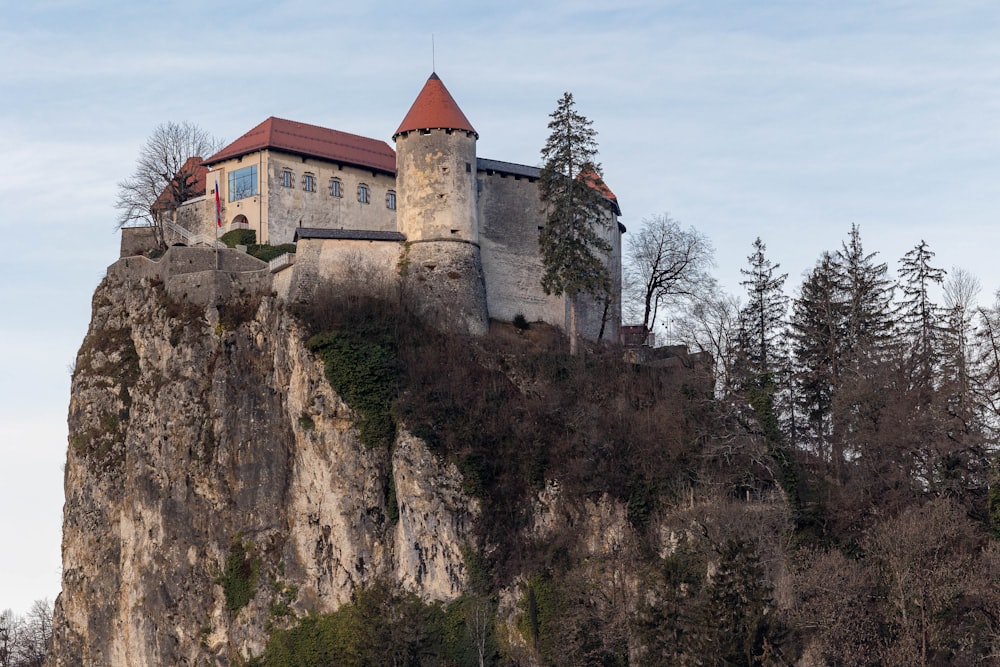 a castle on top of a mountain surrounded by trees