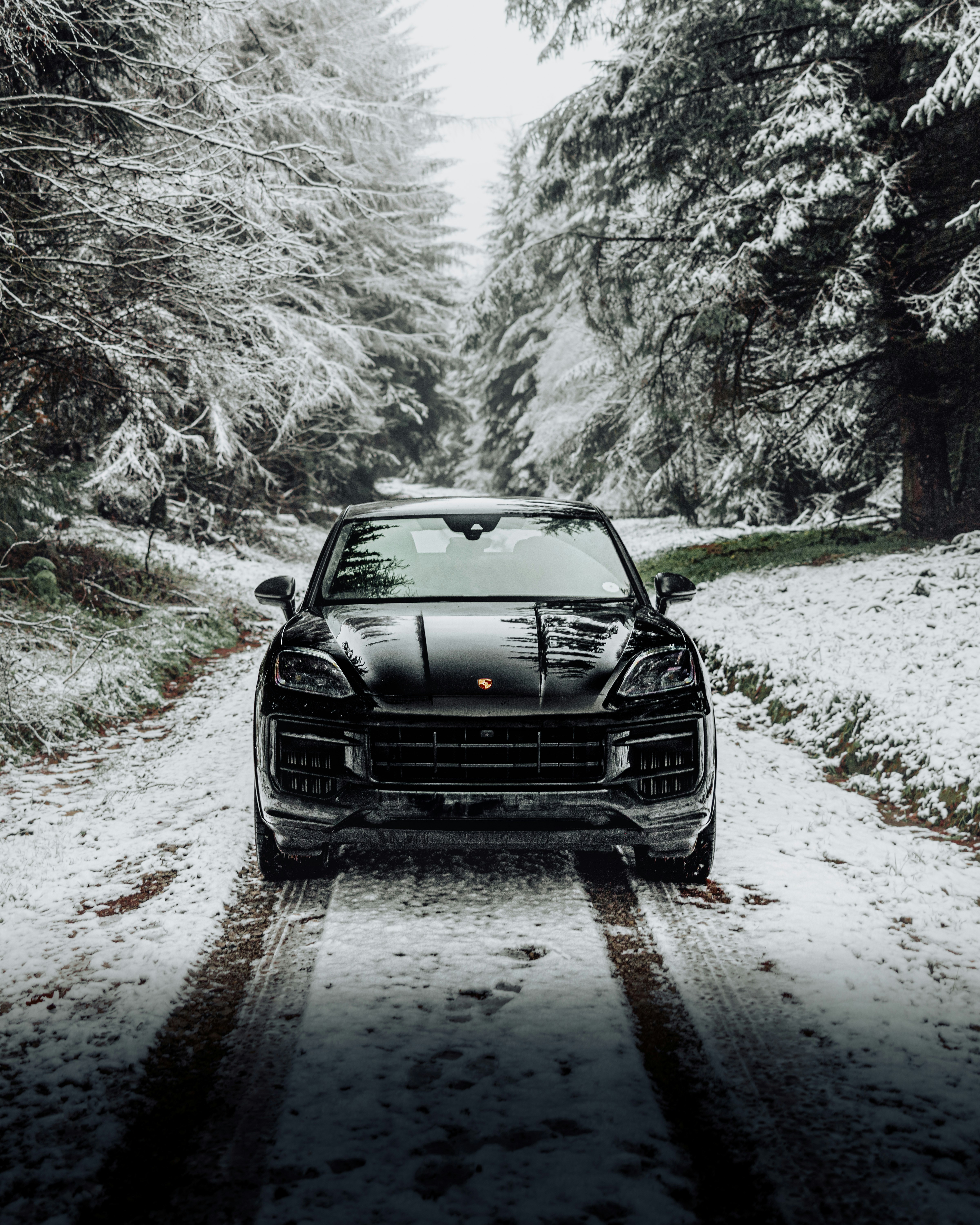 Photo by lukethorntonofficial